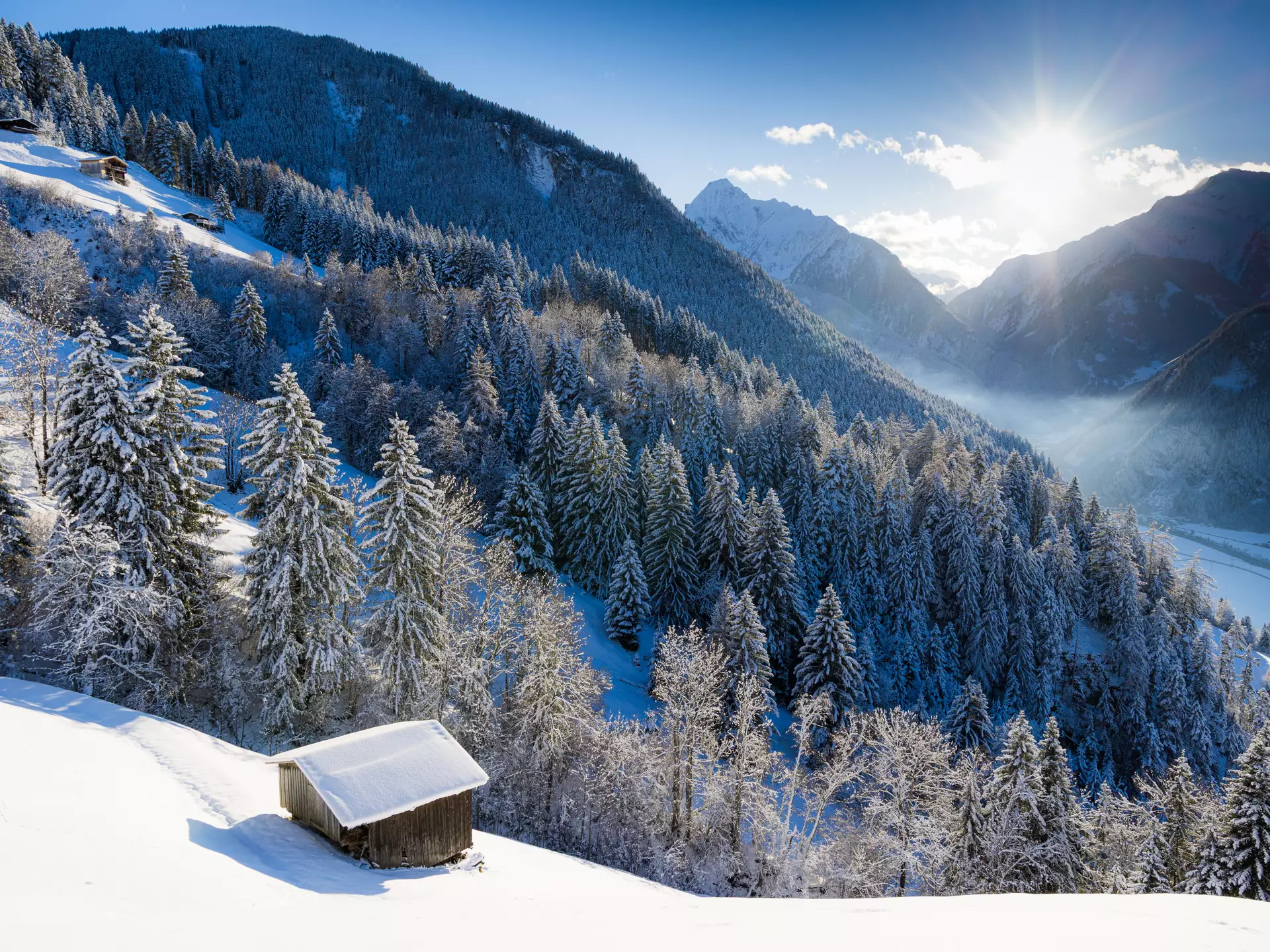 Glitzernder Schnee unter blauem Himmel in Tirol
