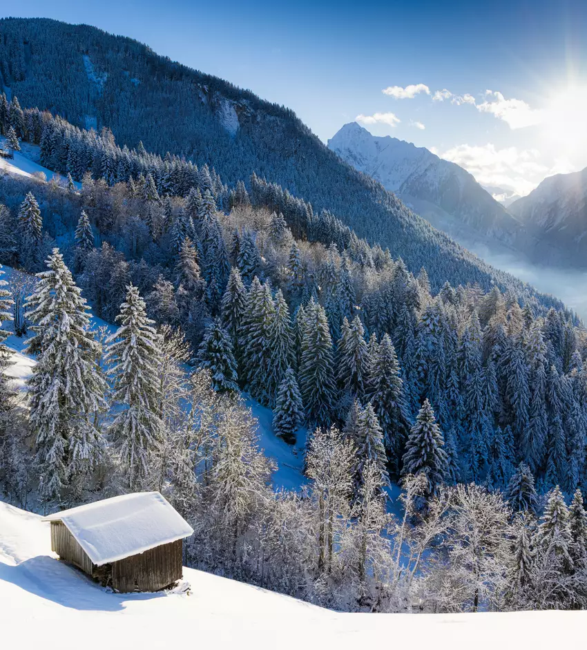 Glitzernder Schnee unter blauem Himmel in Tirol
